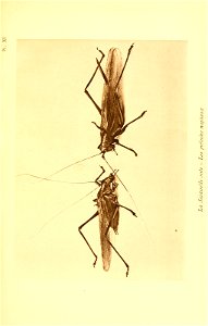 n254_w1150