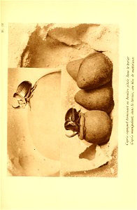 n144_w1150