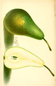 n505_w1150