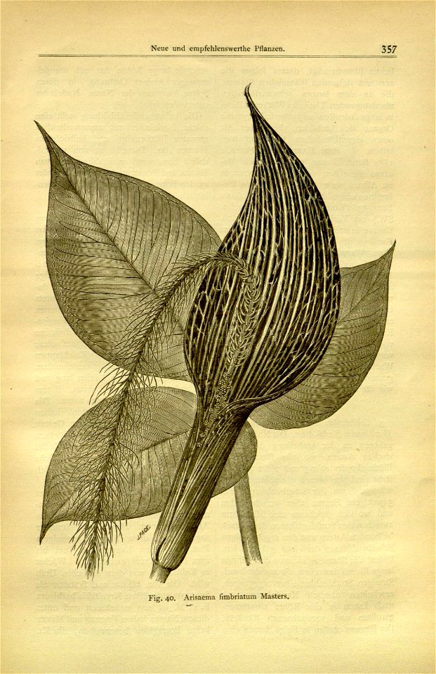 n373_w1150