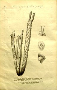 n158_w1150
