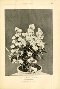 n592_w1150