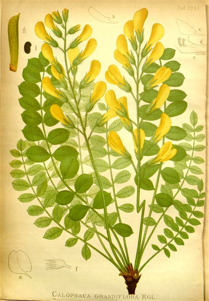 n538_w1150