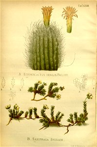 n505_w1150