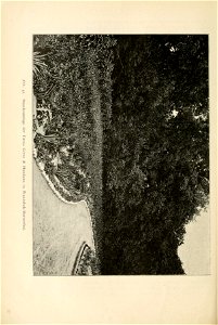 n181_w1150