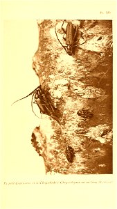 n372_w1150