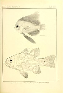 n128_w1150