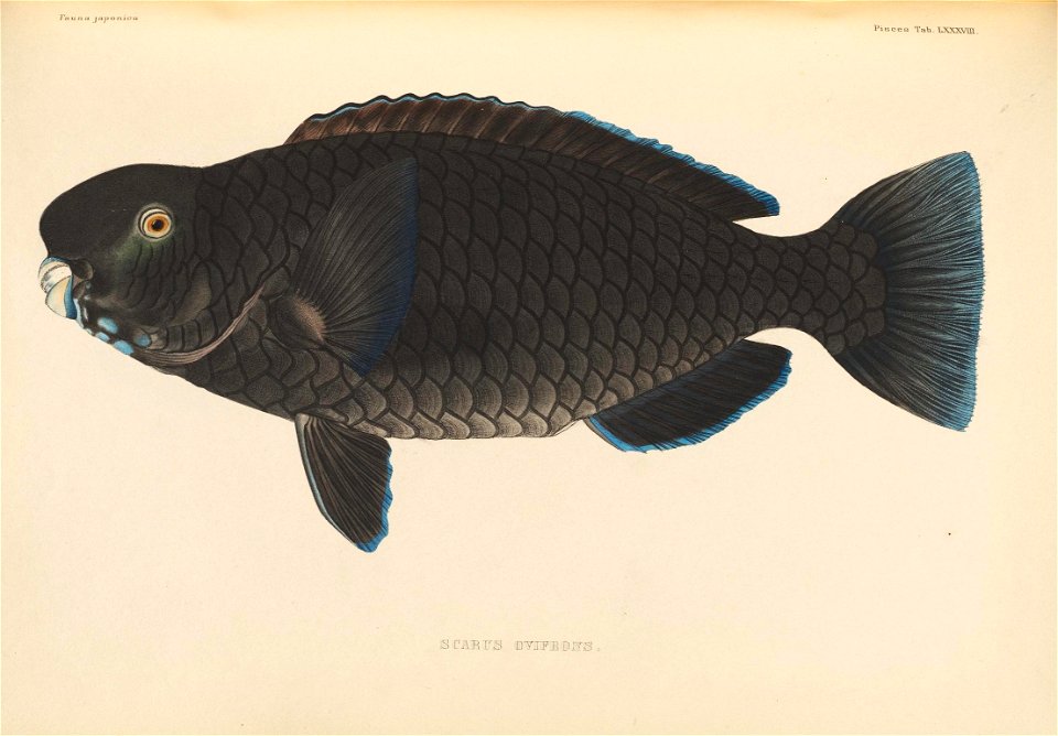 n542_w1150
