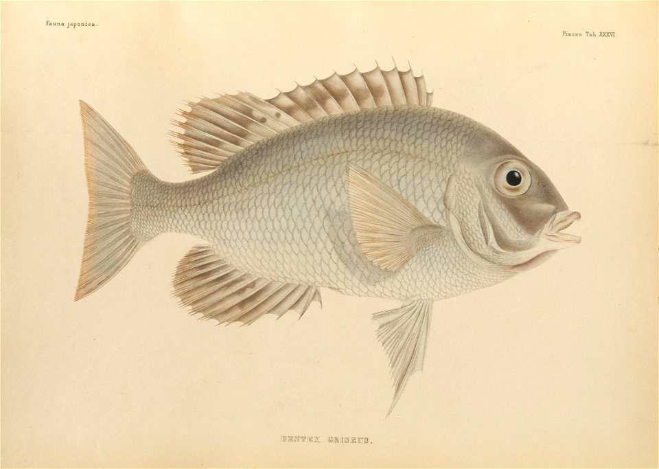 n430_w1150