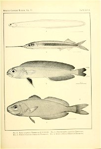n126_w1150