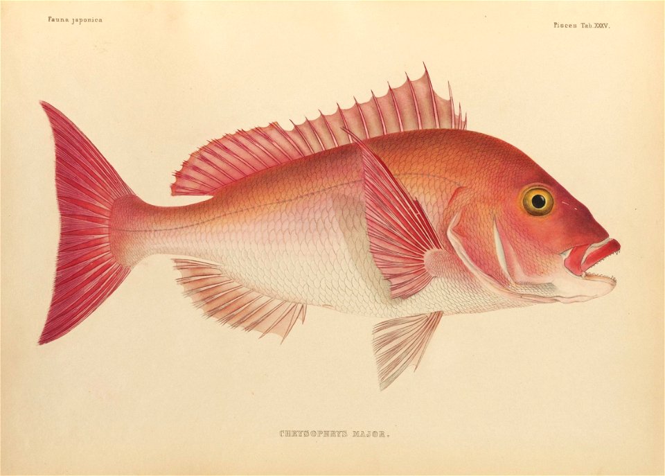 n428_w1150