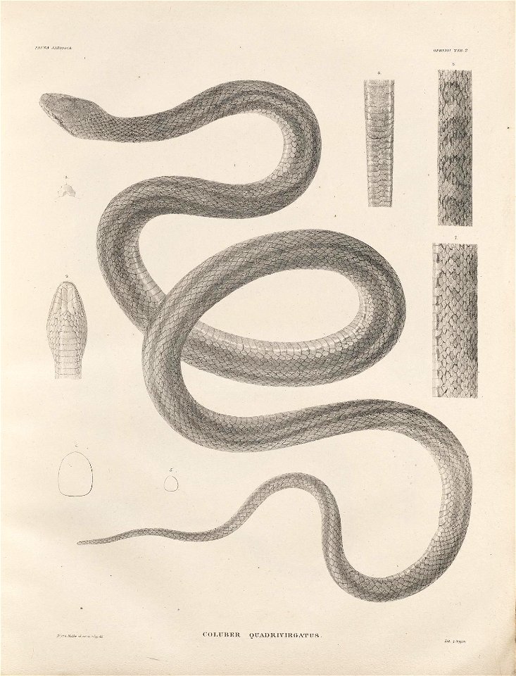 n196_w1150