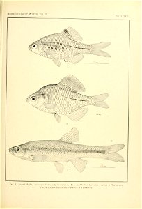 n124_w1150