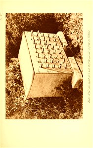 n406_w1150