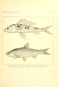 n152_w1150