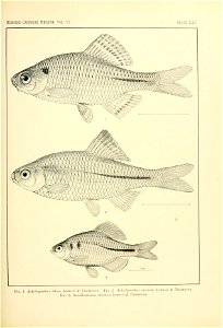 n122_w1150
