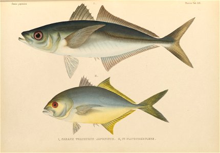 n476_w1150