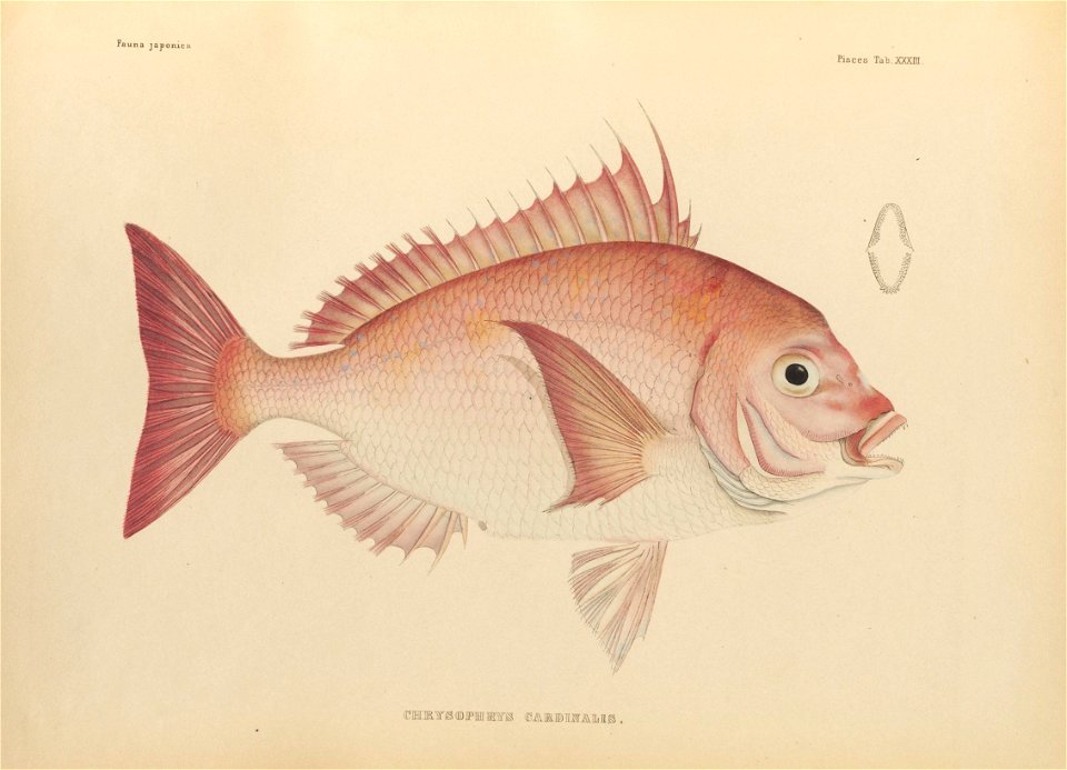 n424_w1150
