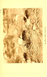n394_w1150