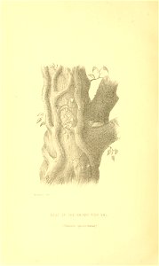 n211_w1150