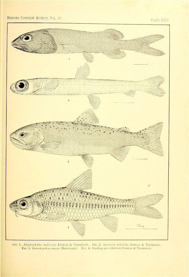 n120_w1150