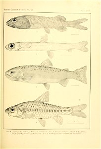 n120_w1150