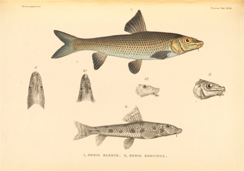 n564_w1150