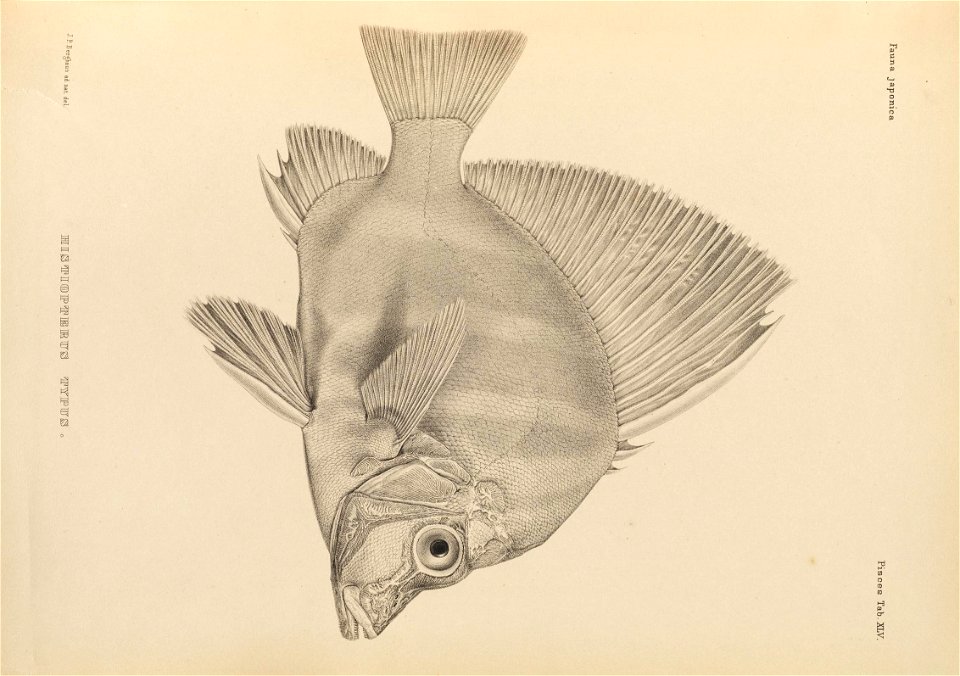 n448_w1150