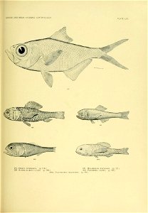 n174_w1150