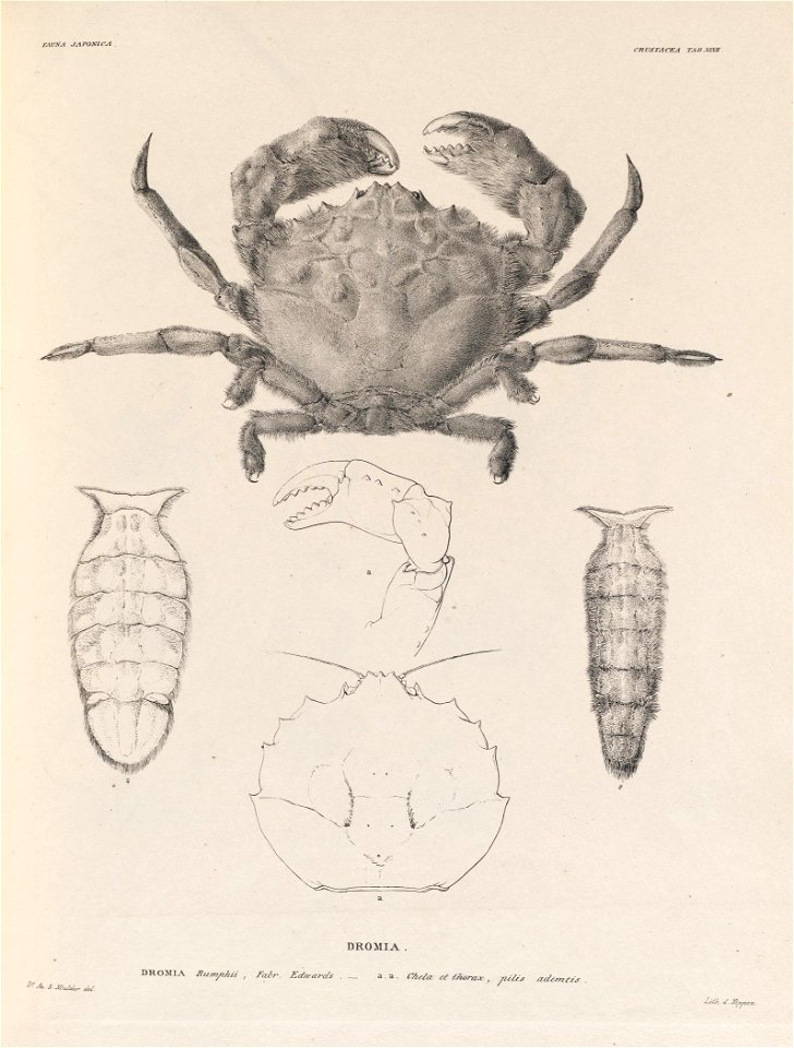 n395_w1150
