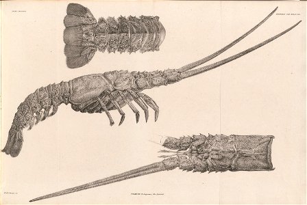 n405_w1150