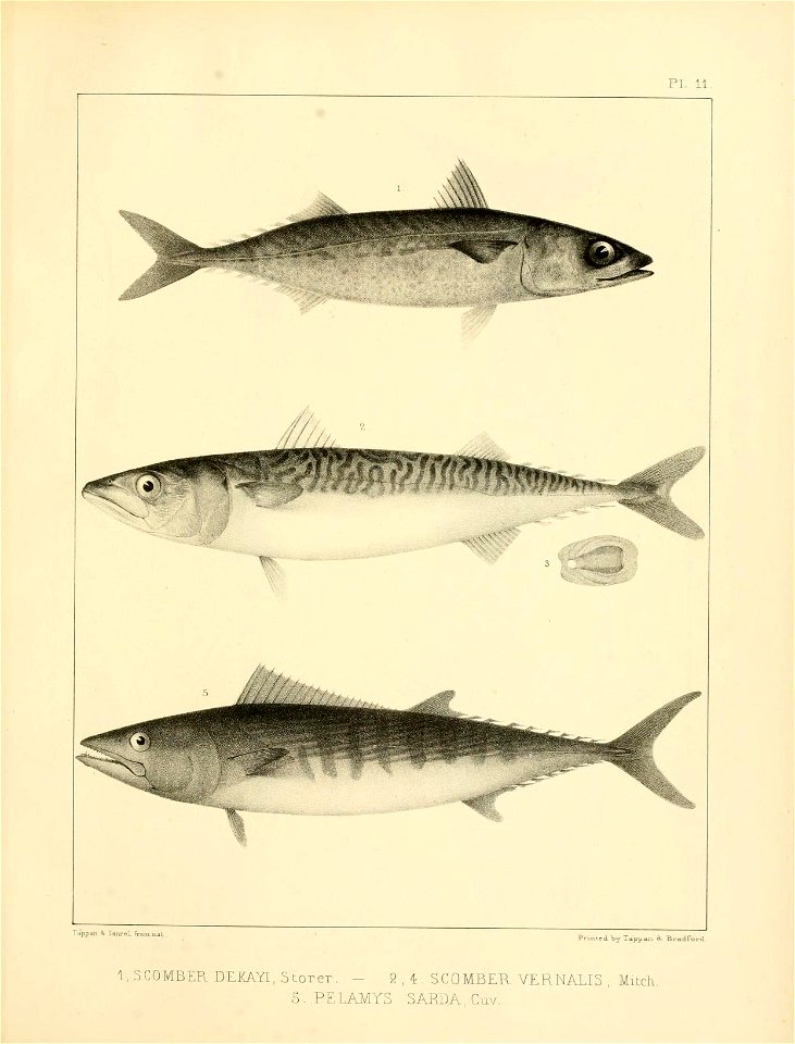 n320_w1150