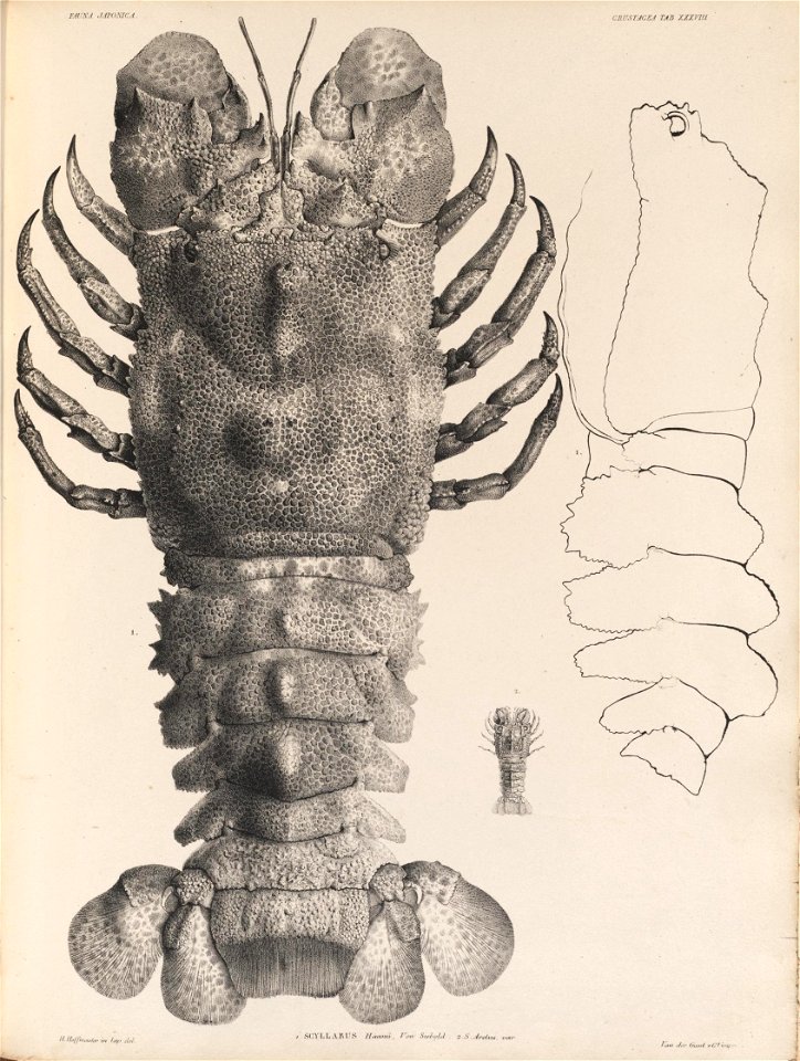 n403_w1150
