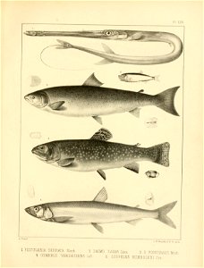 n348_w1150