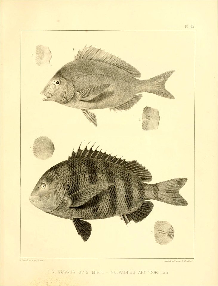 n318_w1150