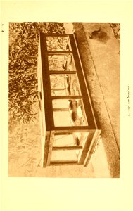n276_w1150