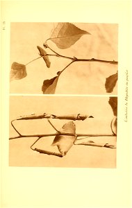 n178_w1150