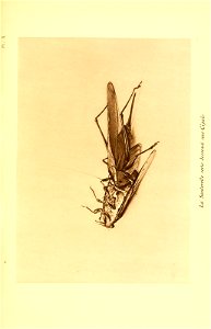 n248_w1150