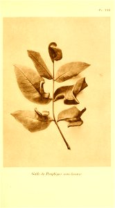 n198_w1150