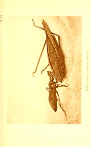 n120_w1150