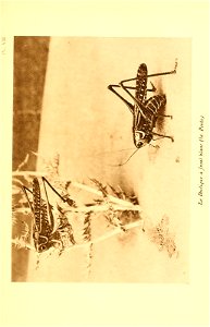 n208_w1150