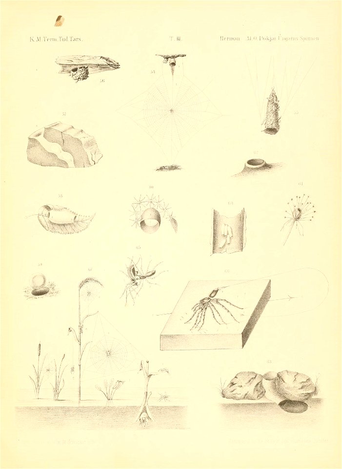 n154_w1150