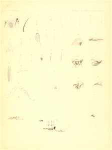 n150_w1150