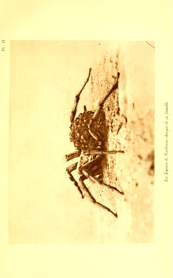n44_w1150