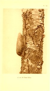 n414_w1150