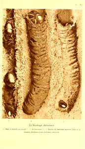 n224_w1150