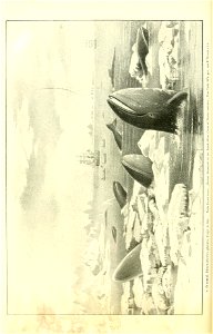 n599_w1150