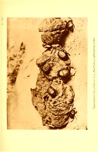 n114_w1150