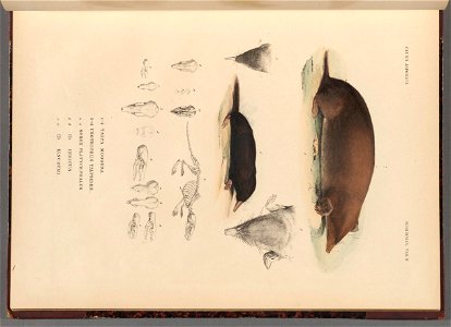 n102_w1150