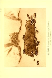 n136_w1150